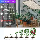 s-l16000.webp