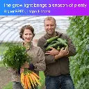 s-l9608.webp
