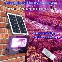 S73d3c245ac54482692c277806ea6209.webp