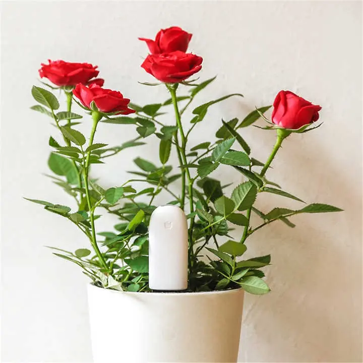 H7b27aa416d6348e7ac4e2daed717205.webp