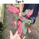 3.webp