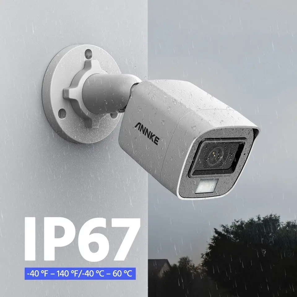s-l960 (9).webp