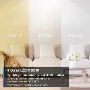 61nBCIiXssL._AC_SX522.webp