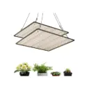 Paquete de dos paneles UV Grow Light para plantas | Cultivo eficiente